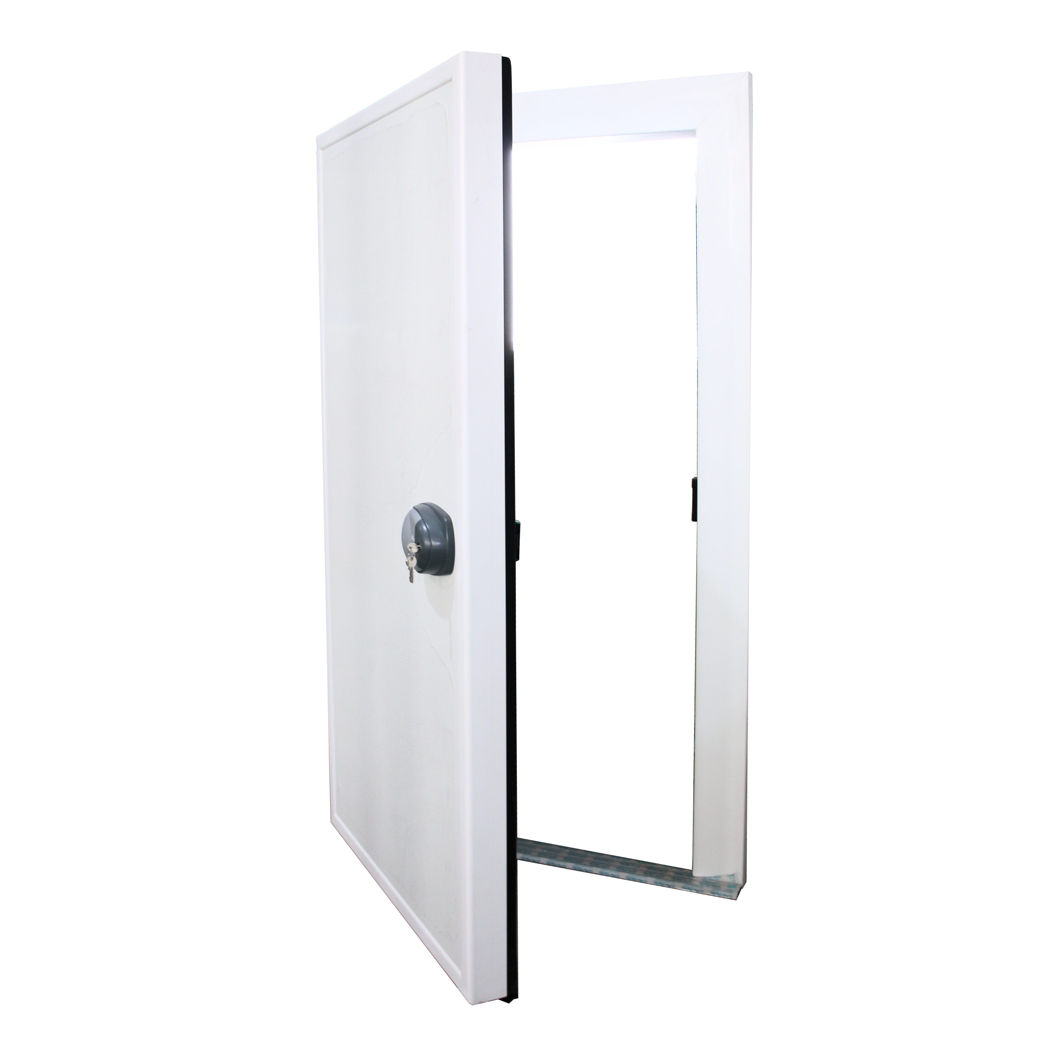 Puerta Abatible para Cámara Fría